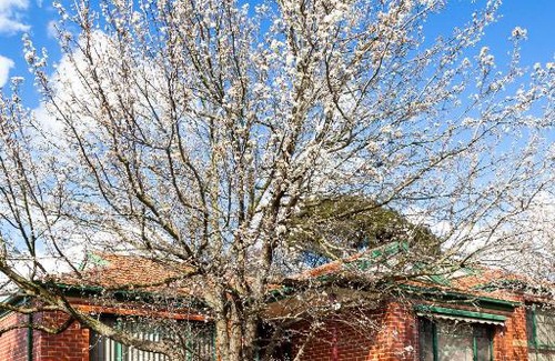 Mount Waverley Apartment | Mount Waverley Townhouses