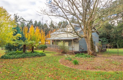 Marysville House | MOUNTAIN ASH LODGE set amongst the trees