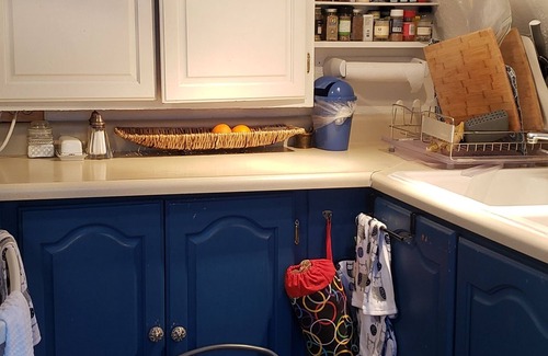 Evergreen Cabin | Mountain Bliss is a quiet mountain retreat, sleeps 7, hot tub, pet friendly