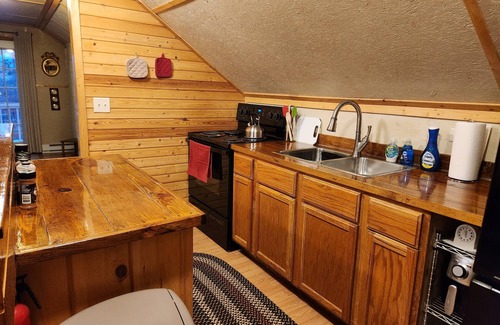 Littleton Apartment | Mountain Cabin 1-BR apartment, stunning views, w/climate-controlled storage!