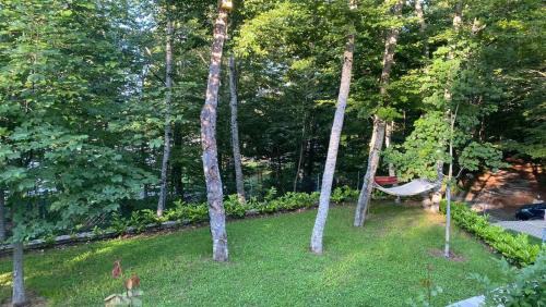 Cetinje House | Mountain house Ivanova Korita