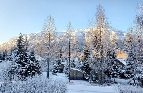 Alyeska Apartment | Mountain Side Forest Retreat - Hot Tub! - 1br 1ba <3beds>