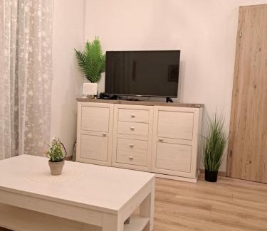 Podkoren Apartment | Mountain spring