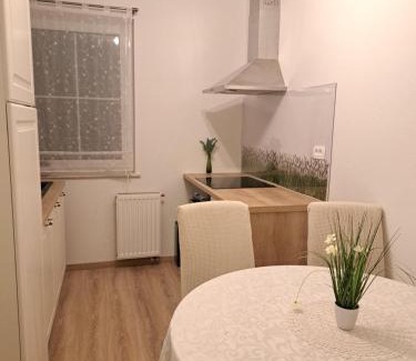 Podkoren Apartment | Mountain spring