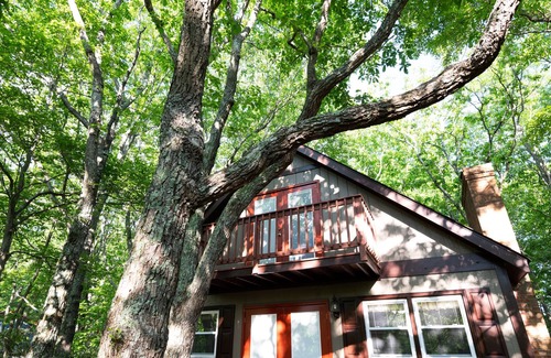 Dan River House | Mountain Time Off the Parkway near Fancy Gap VA