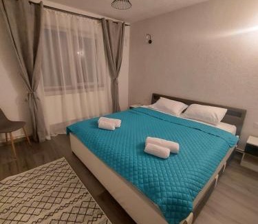Petrosani Apartment | Mountain View Apartment