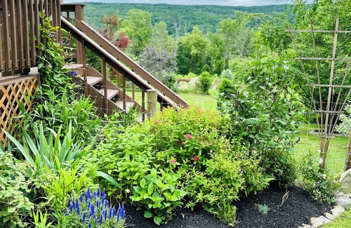 Middlesex House | Mountain View Cabin