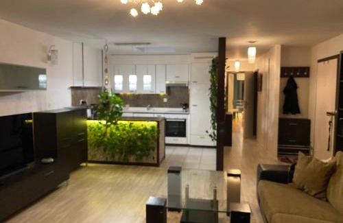 Monthey Apartment | Mountain View