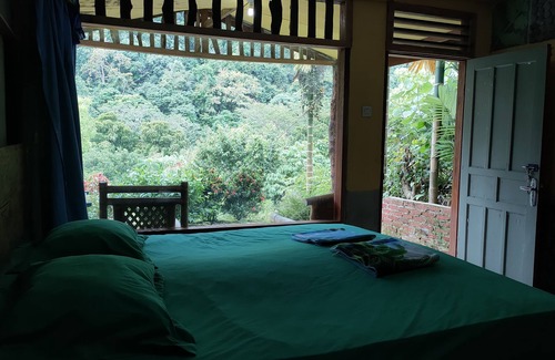 Batang Serangan House | Mountain View Cottages & Villa Tangkahan