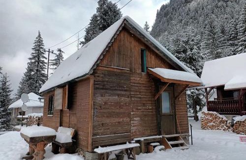 Lacu Rosu Ski Chalet | Mountain View Tiny House