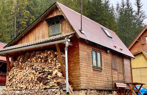 Lacu Rosu Ski Chalet | Mountain View Tiny House