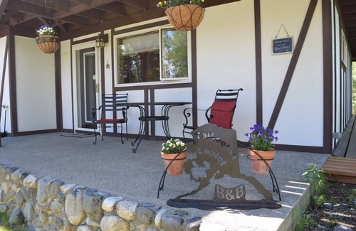 Talkeetna Apartment | Mountain Whispers Suite with shower