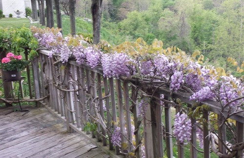 Blue Ridge Summit Cottage | Mountains-Gettysburg-Ski-golf-Zoo-Appalach.Trail, DCnBaltimore, Nat'l Shrine