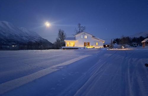 Tromso House | Mountainside Lodge - Breivikeidet
