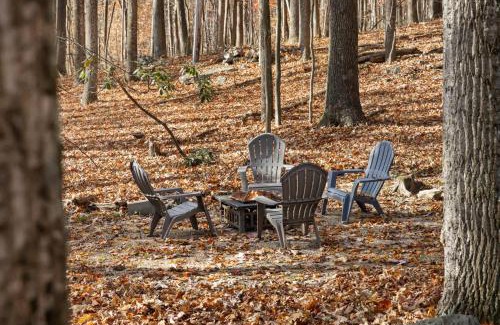 Berkeley Springs Ski Chalet | Mountainside w Fireplace, Fire Pit, Deck, & WiFi