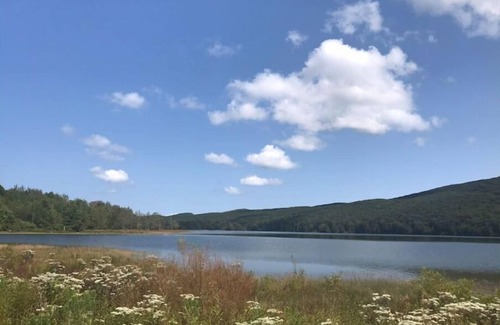 Tannersville RV Rental | Mountainview Properties #6.5