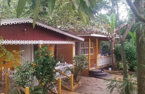 Negril Apartment | Mourine place