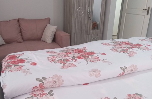 Tema Apartment | Mr. Raphael Rental Apartment