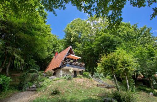 Generalski Stol Ski Chalet | Mrežnički doživljaj