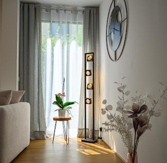 Mainz-Bingen Apartment | Mriya Apartment