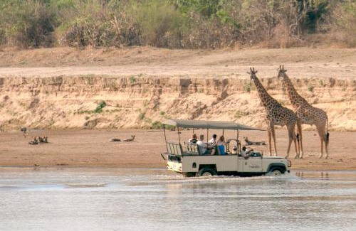 South Luangwa National Park Cabin | Msandile River Lodge