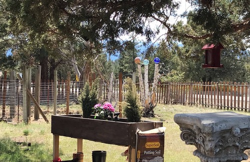 Weed House | Mt Shasta, Lake Siskiyou, Montague Balloon Festival - house in peaceful Weed.