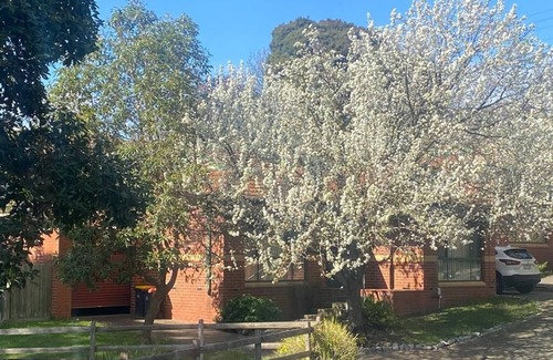 Mount Waverley Apartment | Mt Waverley Townhouses