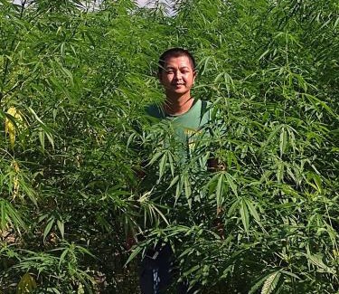 Chiang Rai House | Muangkham Peaceandlove Farm