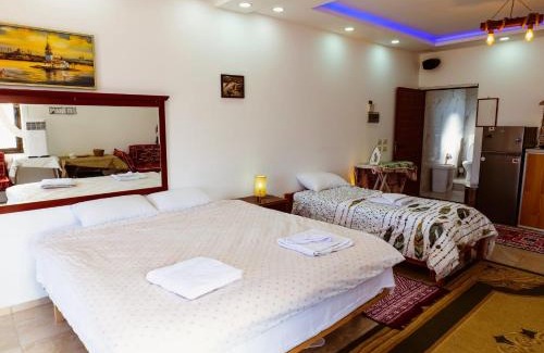 Elbasan County House | Muco Guest House
