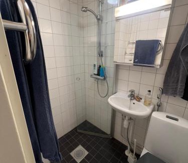 Hameenlinna Apartment | Mukavat kaksi huonetta ja keittiö aseman lähellä