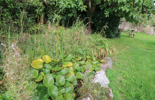 Totnes Cottage | Mulberry Cottage