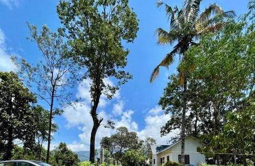 Kunchithanny Ski Chalet | Munnar Hills And Mist Views