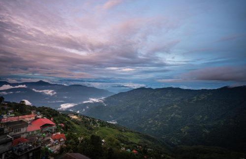 Darjeeling Hotel | Muscatel Stardust - Chowrasta Mall Road