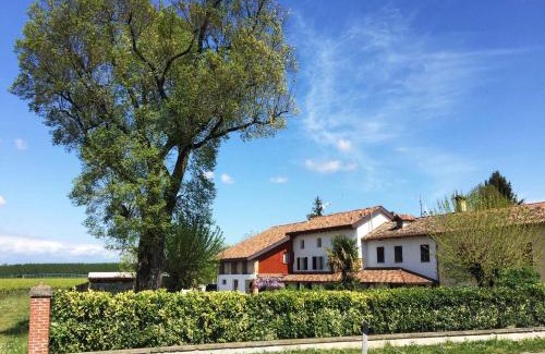 Muscletto Apartment | Musicasa Vacanza