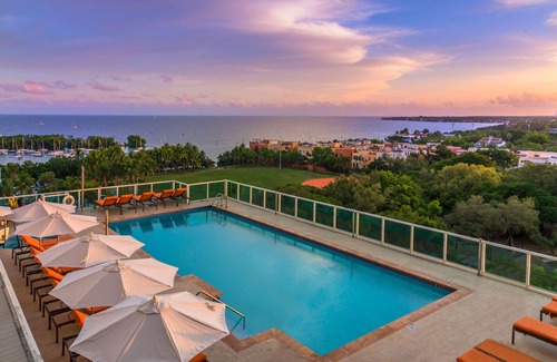 Coconut Grove Apartment | MVR| Your Dream Miami Stay—Available Now