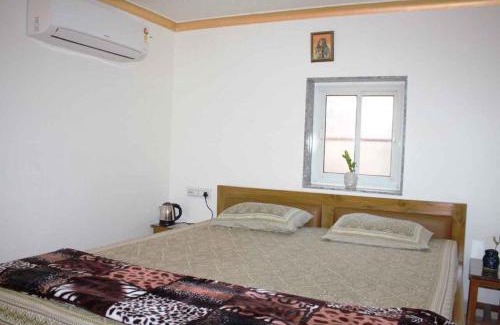 Pink City Bed & Breakfast | My HomeStay Jaipur SONI 2700