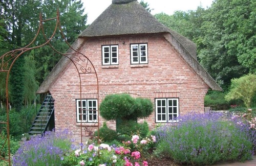 Dorpling House | "My Little Rose Cottage"