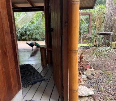 Afaahiti Ski Chalet | My Mountain Home
