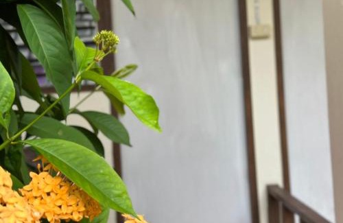 Downtown Krabi Hotel | my pumpkin krabi