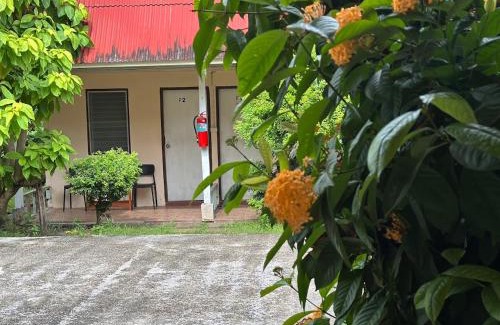 Downtown Krabi Hotel | my pumpkin krabi