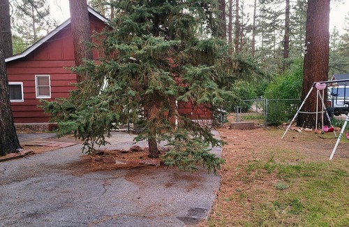 Peter Pan Cabin | Myrtle Chalet