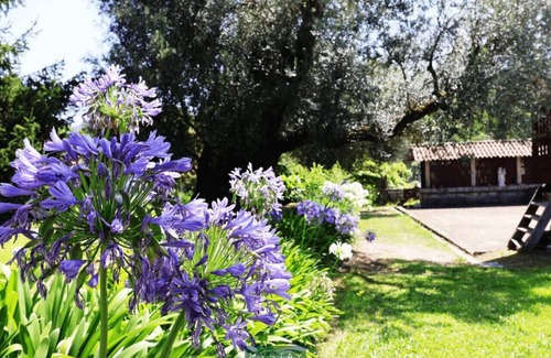 Ponte de Lima House | MyStay - Casa de Abbades | Casa do Manel