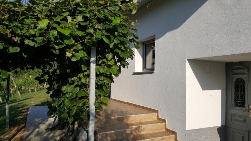 Tisina House | NA OFF