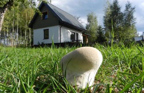 Giby House | Na Skraju Szlaków
