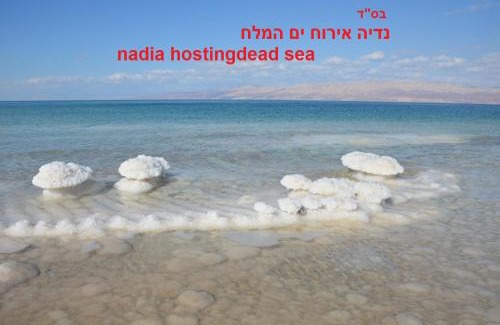 Neve Zohar Cabin | Nadia Hosting Dead Sea
