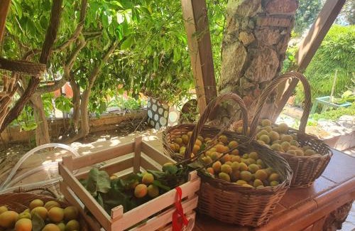 Anavyssos House | Nadia's Traditional Greek House