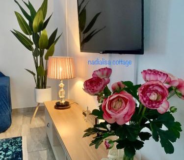 Sungai Petani House | Nadialisa cottage homestay For Islamic only