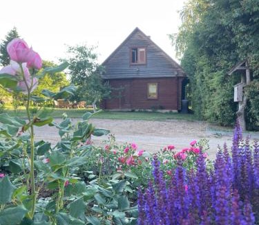 Plateliai House | Namelis - pirtelė