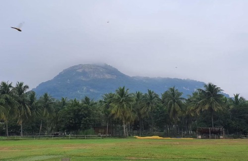 Gudiyatham House | Nannilam Organic Farm Stay