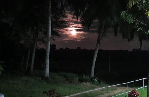 Gudiyatham House | Nannilam Organic Farm Stay